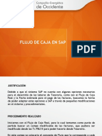 Presentacion Flujo de Caja SAP