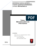 3 Metabolismo de Proteinas 2016