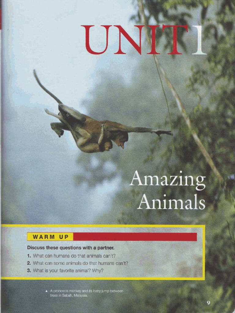 2nd Meeting - Amazing Animals Animal Intelligence and Artistic Animals ...