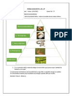 Ciencias Naturales Semana 19 - Sebastián Zambrano