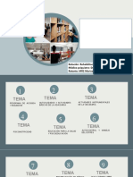 Areas de Intervención o Programas Básicos de Intervención en RP