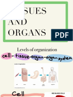 Tisssues&organs - Bio Presentation