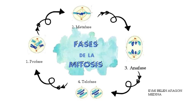 Installation & Delivery Area visual data 3