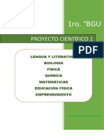 Proyecto 1 Fisica