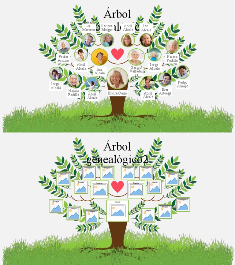 Arbol Genealógico | PDF