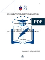 Despido Durante El Embarazo o Lactancia