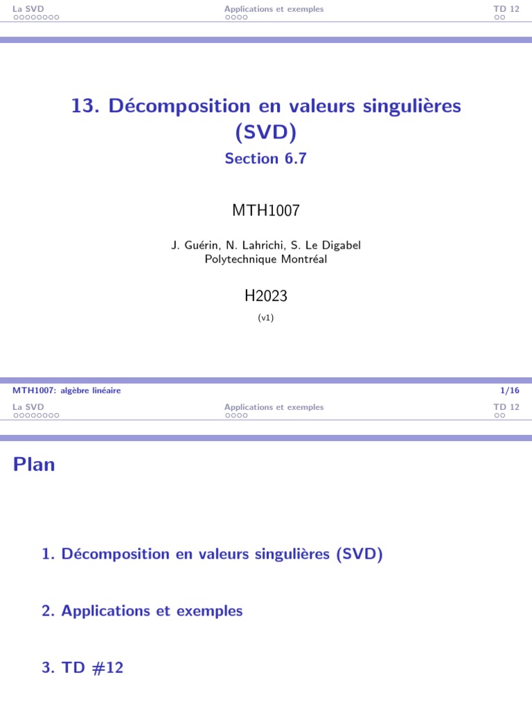 en Valeurs Singulières SVD PDF Physique mathématique — free download
