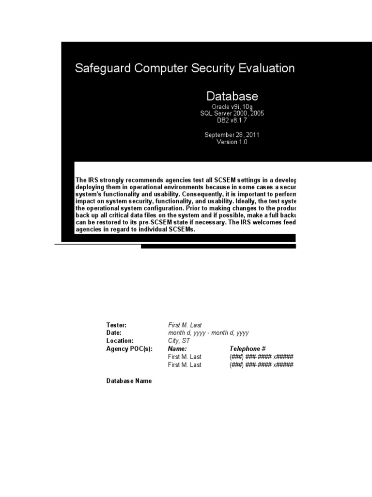 Irs Safeguards Scsem Database v1.0 092811 PDF Databases Audit