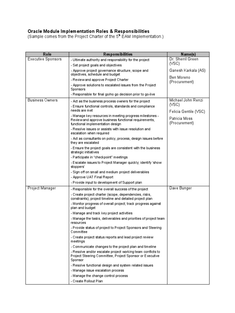 Example Roles & Responsibilities 2 PDF Business Process Computer Engineering