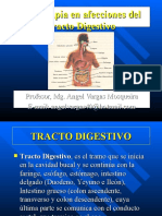 Fitoterapia en Afecciones Del Tracto Digestivo