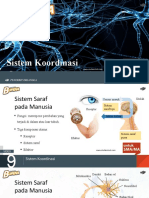 BAB 9 - Sistem Koordinasi