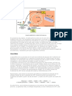 Flujo de energía-9