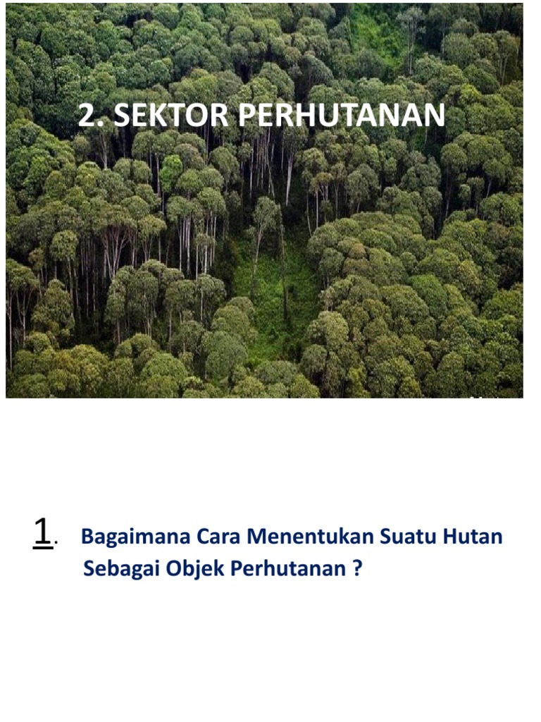 Sektor Perhutanan Ok Pdf