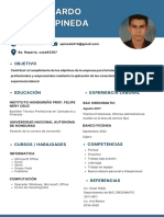 Curriculum Vitae Juan Canales