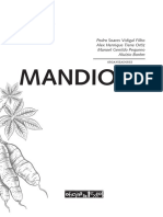 mandioca-plantio-colheita_deg