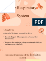 The Respiratory System