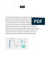 Documento Sin Título