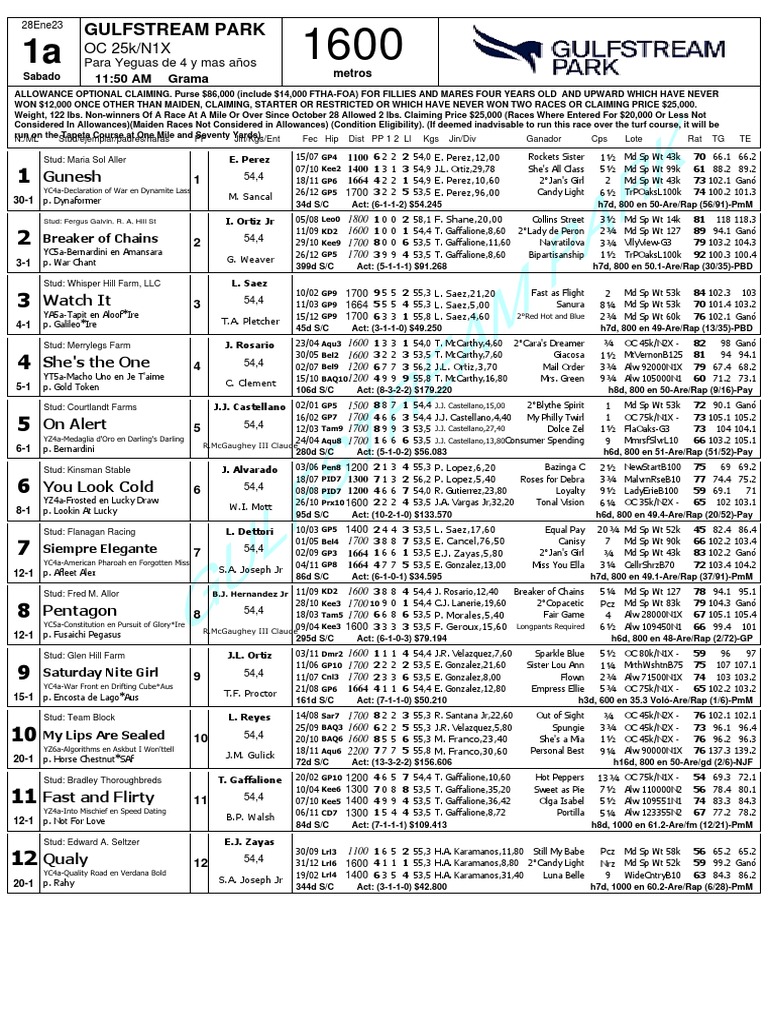Gulfstream Park | PDF | Equestrian Sports | Thoroughbred Families
