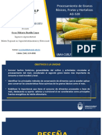 Procesamiento del maíz: historia, tipos, calidad del grano y métodos de industrialización
