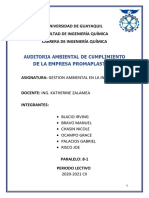Auditoria Ambiental - Promaplast - Version Final g6