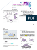 Neuroembriología (ANDREA) PDF