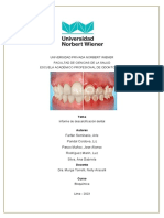 Informe de Descalcificación Dental