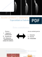 Acceso Cavitario y Anatomía Endodóntica