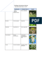 Catálogo de plantas tóxicas con principios activos