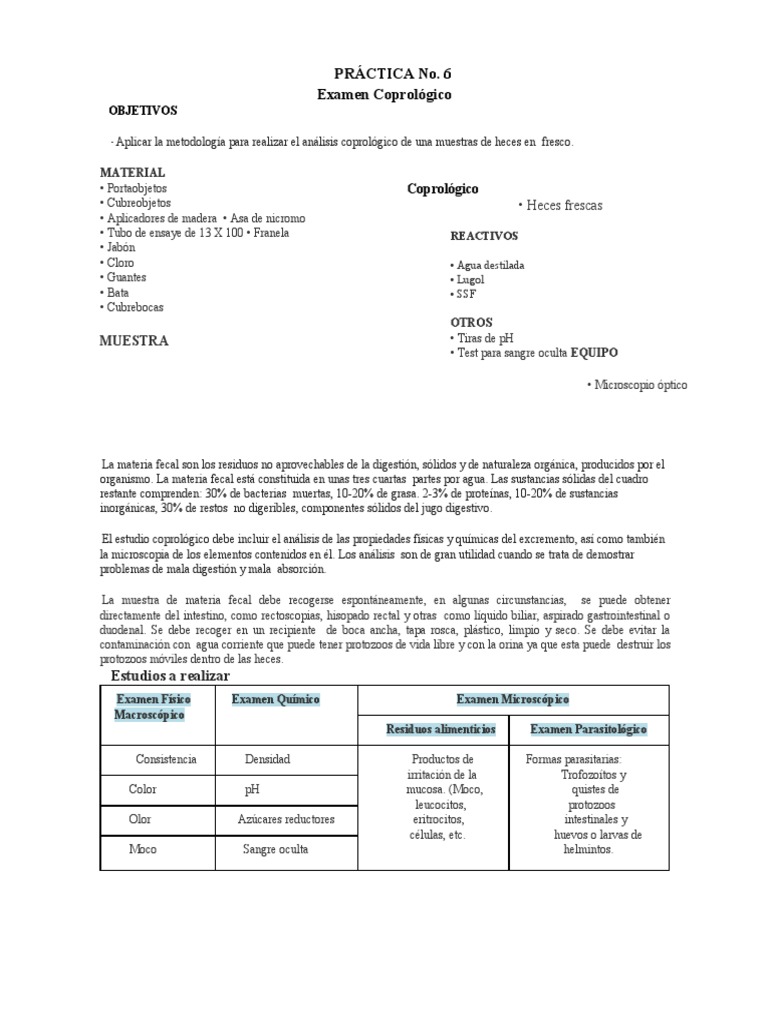 Examen Coprológico | PDF | Heces | Diarrea