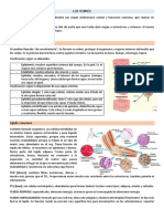 Resumen Anato y Fisio Unidad 3