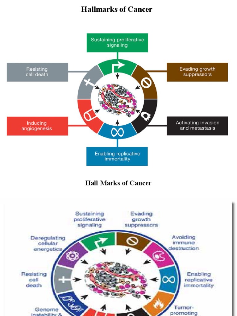 Growth Factors and Receptor Signaling | PDF | Epidermal Growth Factor ...