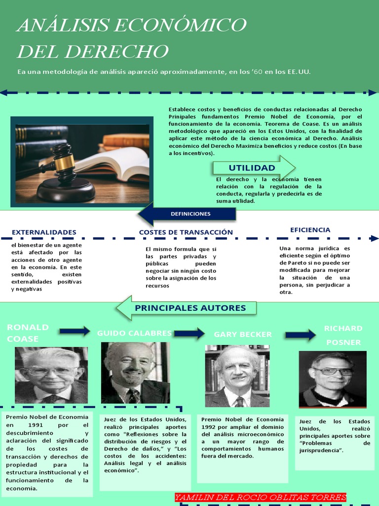ECONOMIA Infografía de Análisis Económico Del Derecho | PDF | Economias
