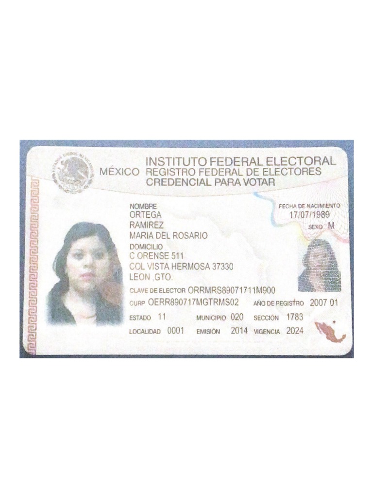 Instituto Federal Electoral-1 | PDF