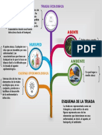 Infografia Triada Ecológica