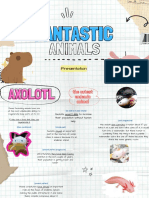 Fantastic Animals Presentation
