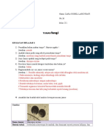 Biologi, Ukbm 3.7 Fungi