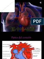 Corazon