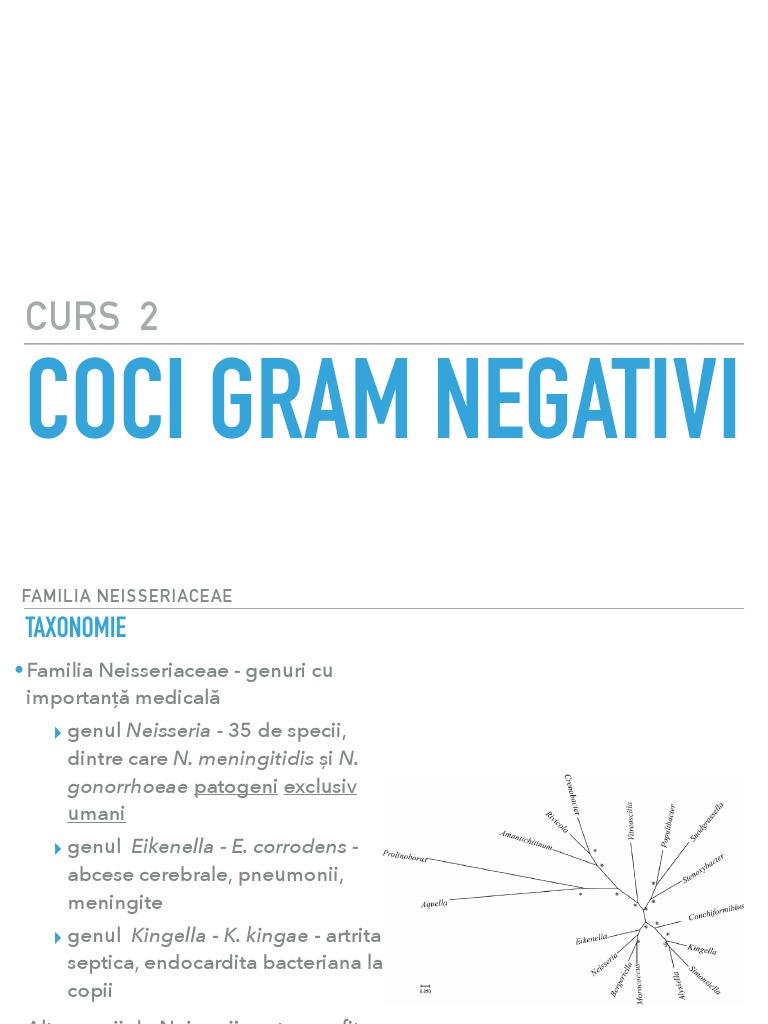 Curs 2: Coci Gram Negativi | PDF