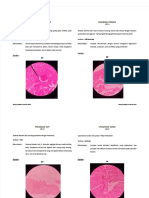PDF Upi Patologi Anatomi - Compress