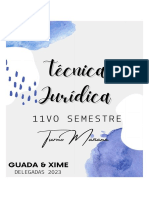 Técnica Jurídica - Guada&xime2023