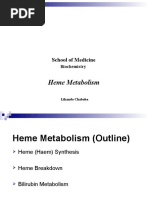 Heme Metabolism2023