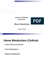 Heme Metabolism2023
