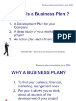 Business Plan com