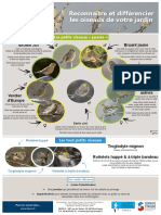 Reconnaître Et Différencier Les Oiseaux de Votre Jardin Poster2 Compréssé