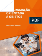 Programação Orientada A Objetos: Raiza Artemam de Oliveira