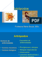 Artropodos de Importancia Medica