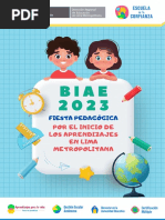 Orientaciones Para El Biea 2023