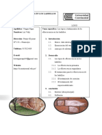 Boletin Informativo Eflorescencia