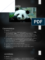 Los Pandas