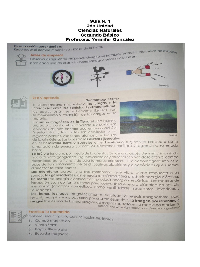 Guía 1 Ciencias Naturales Segundo Básico 2da Unidad Pdf